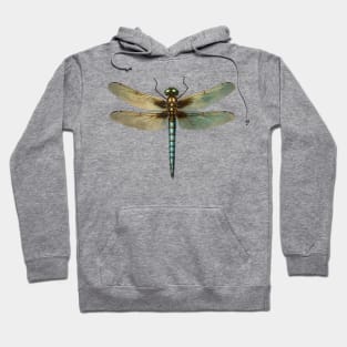 Mythical Clockwork Dragonfly Hoodie